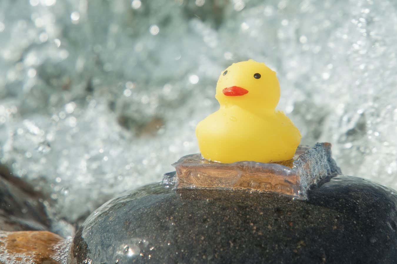 Süper yapışkan hidrojel, su altında diğer tutkallardan 10 kat daha güçlüdür