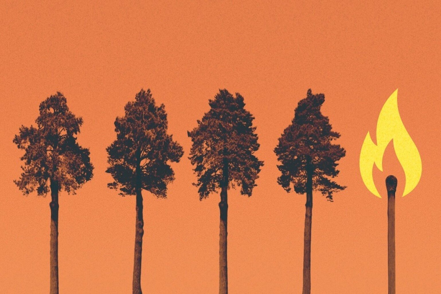 Yerli topluluklarla işbirliği yapmak anlamlı iklim eylemine yol açabilir