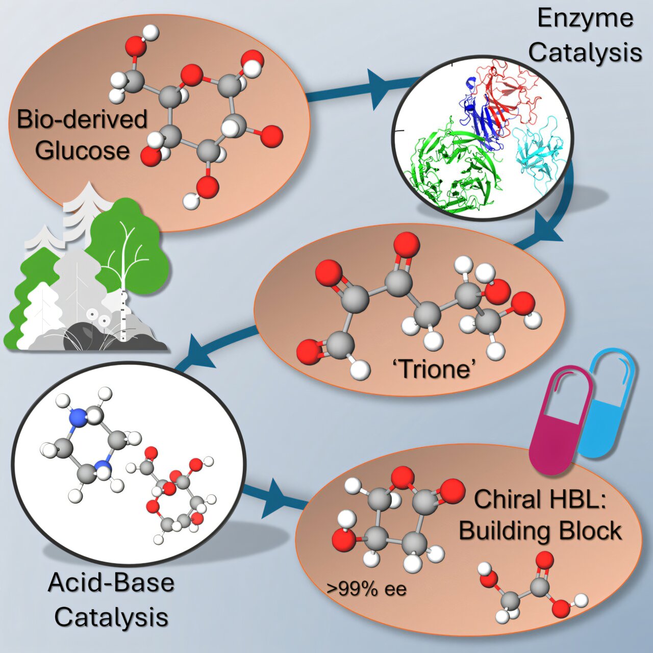 Ahşap atıklardan anahtar farmasötik bileşene kadar: Sürdürülebilir yöntem yüksek ilaç maliyetlerini düşürebilir