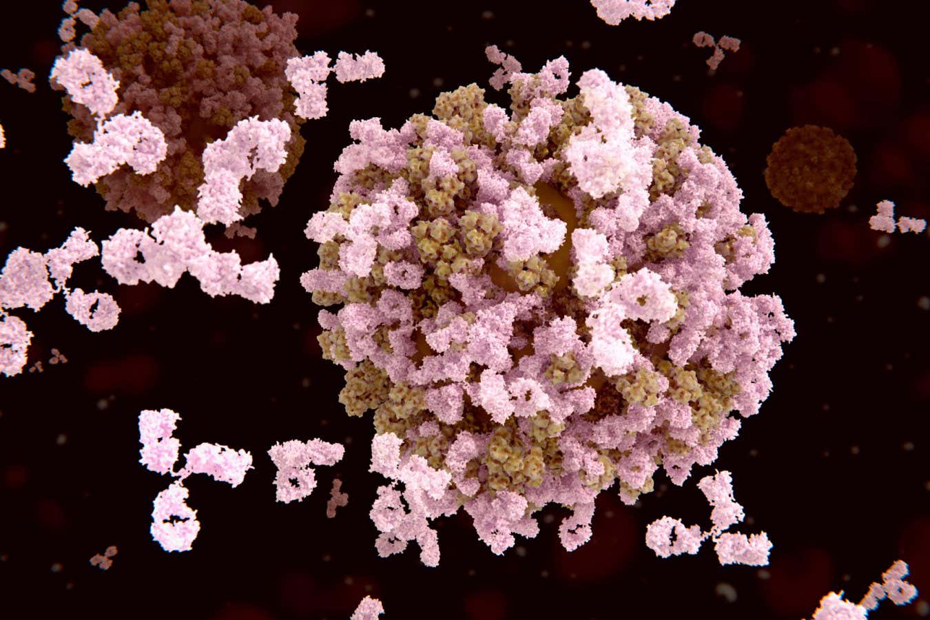 Antikor kokteyli evrensel bir grip tedavisi olarak çalışabilir