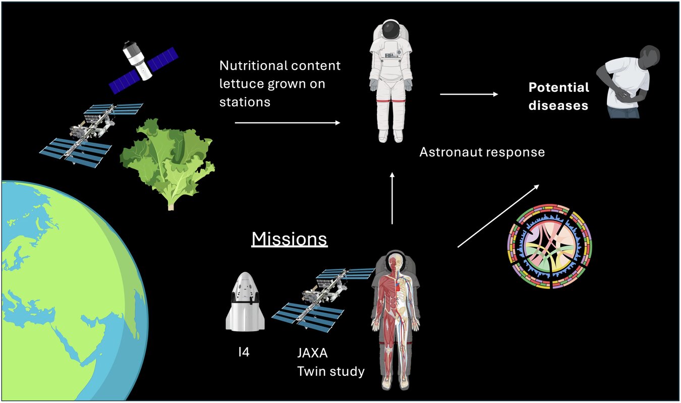 Astronot diyetleri için uzayda büyüyen marul kalsiyum ve magnezyumda yetersiz kalıyor, vatandaş bilim adamları