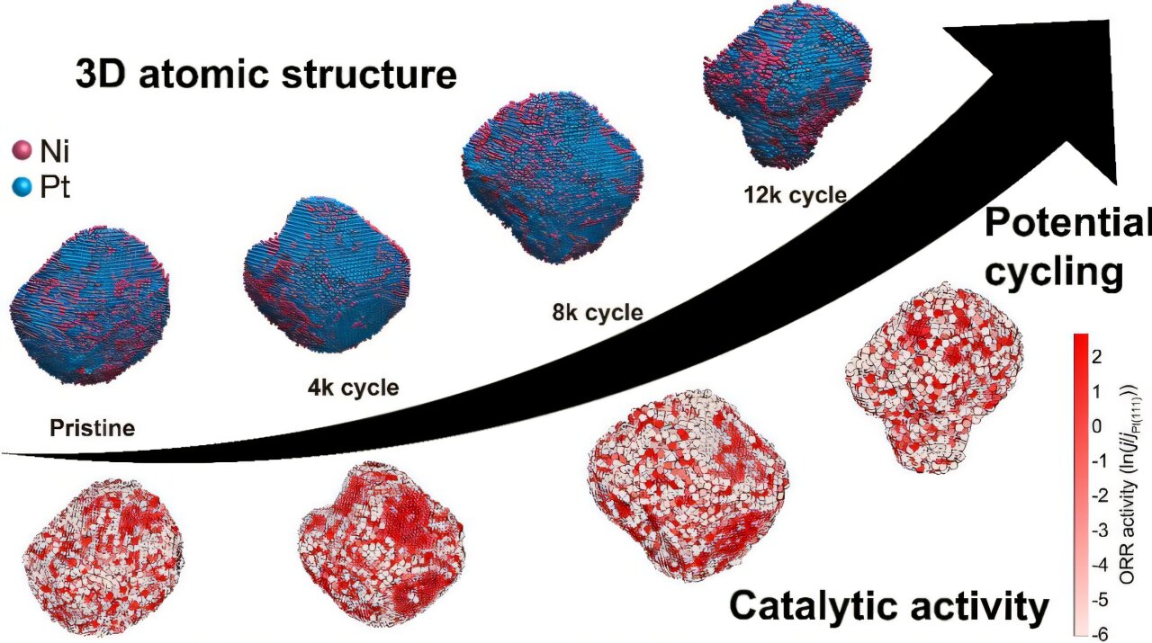 Atomik 'CT Scan', galyumun yakıt hücresi katalizörü dayanıklılığını nasıl arttırdığını ortaya çıkarır