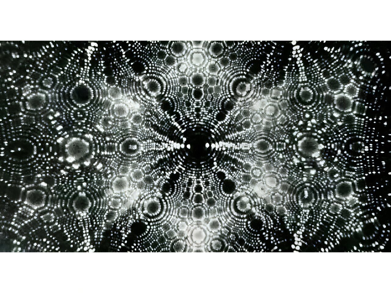 'Atomlar, JA, Atomlar': Fizik Öncü Mikroskopinin Anahtarı 'Çözümde Devrim'