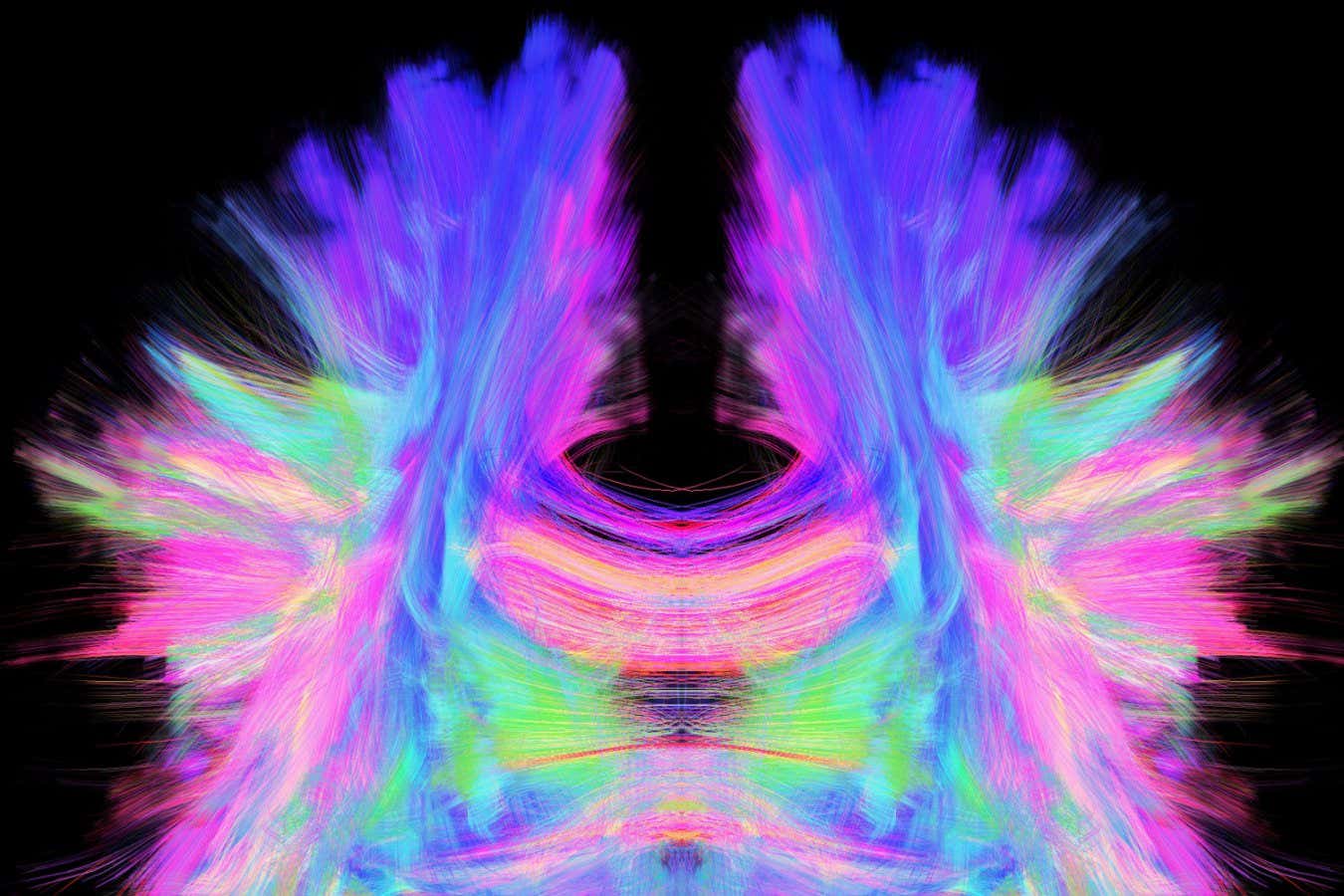 Beynin yapısını haritalamak işlevini tam olarak açıklamaz