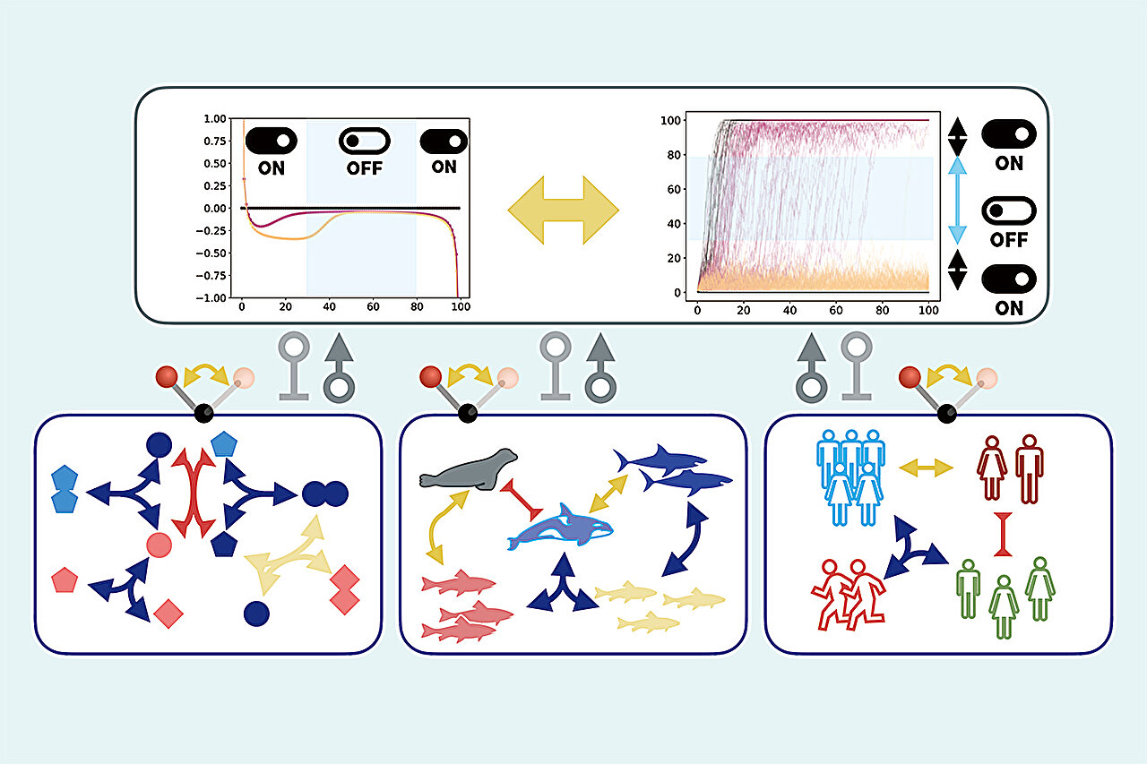Değiştirmek: Matematiğin açıklandığı gibi gizli hayatta kalma stratejisi hayata