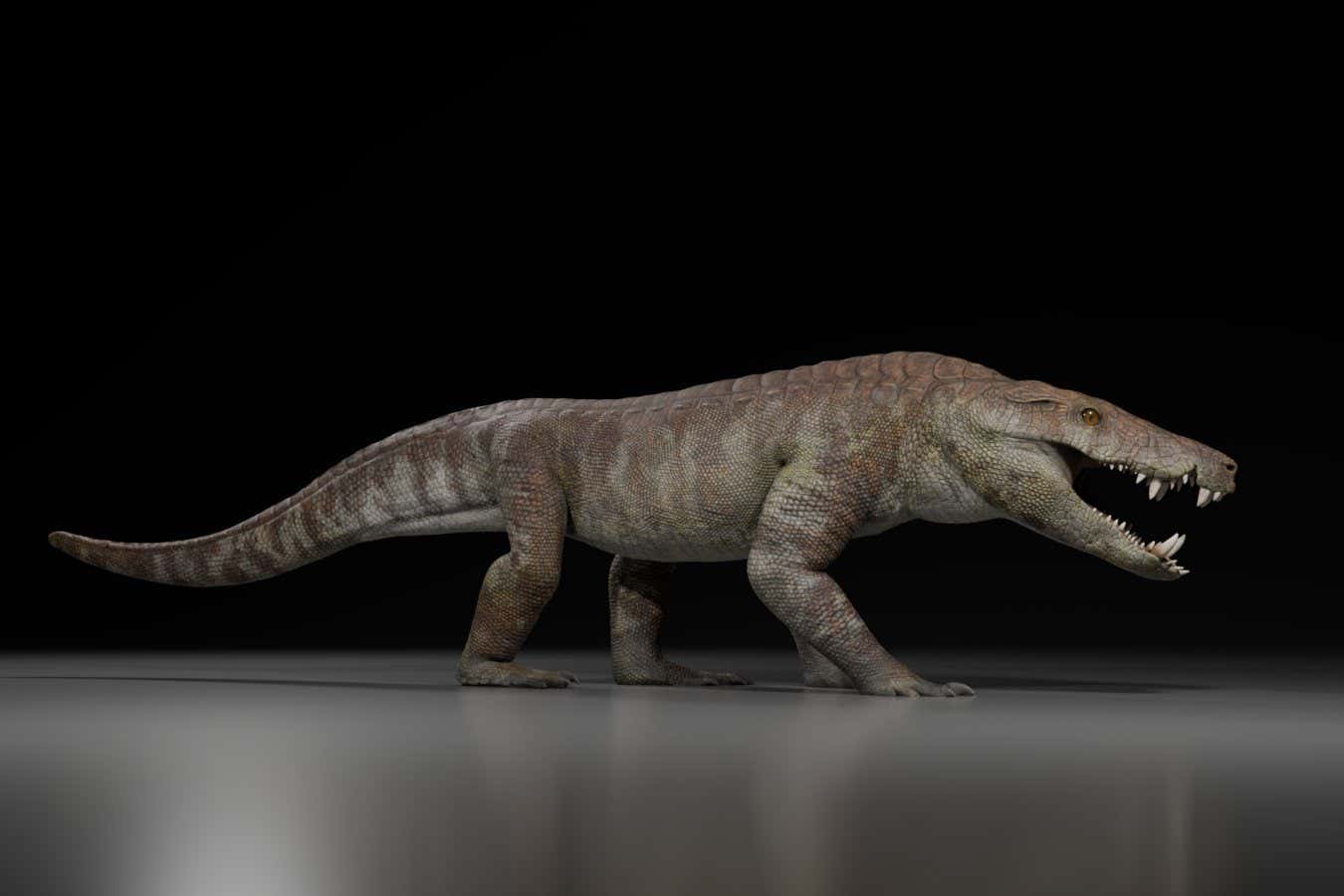 Eski timsah akrabası dinozorları parçalayabilirdi