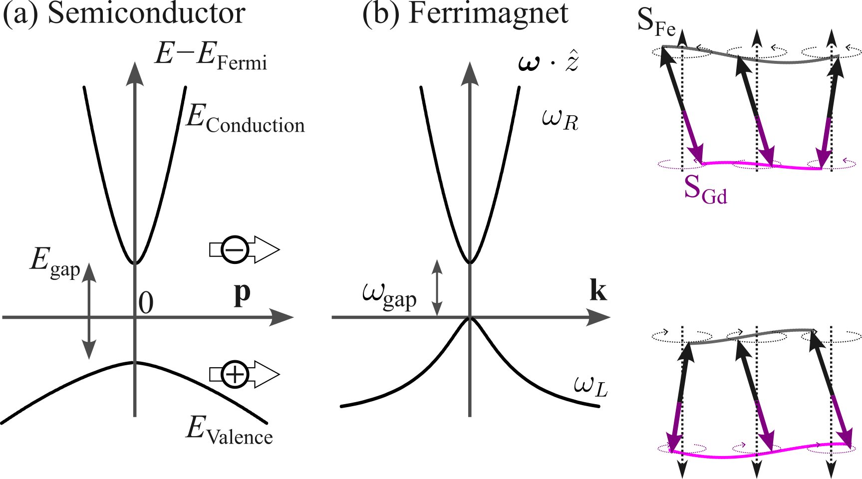 Ferrimagnet spin dalgaları Bosonic Semiconductors gibi davranır, çalışma bulguları