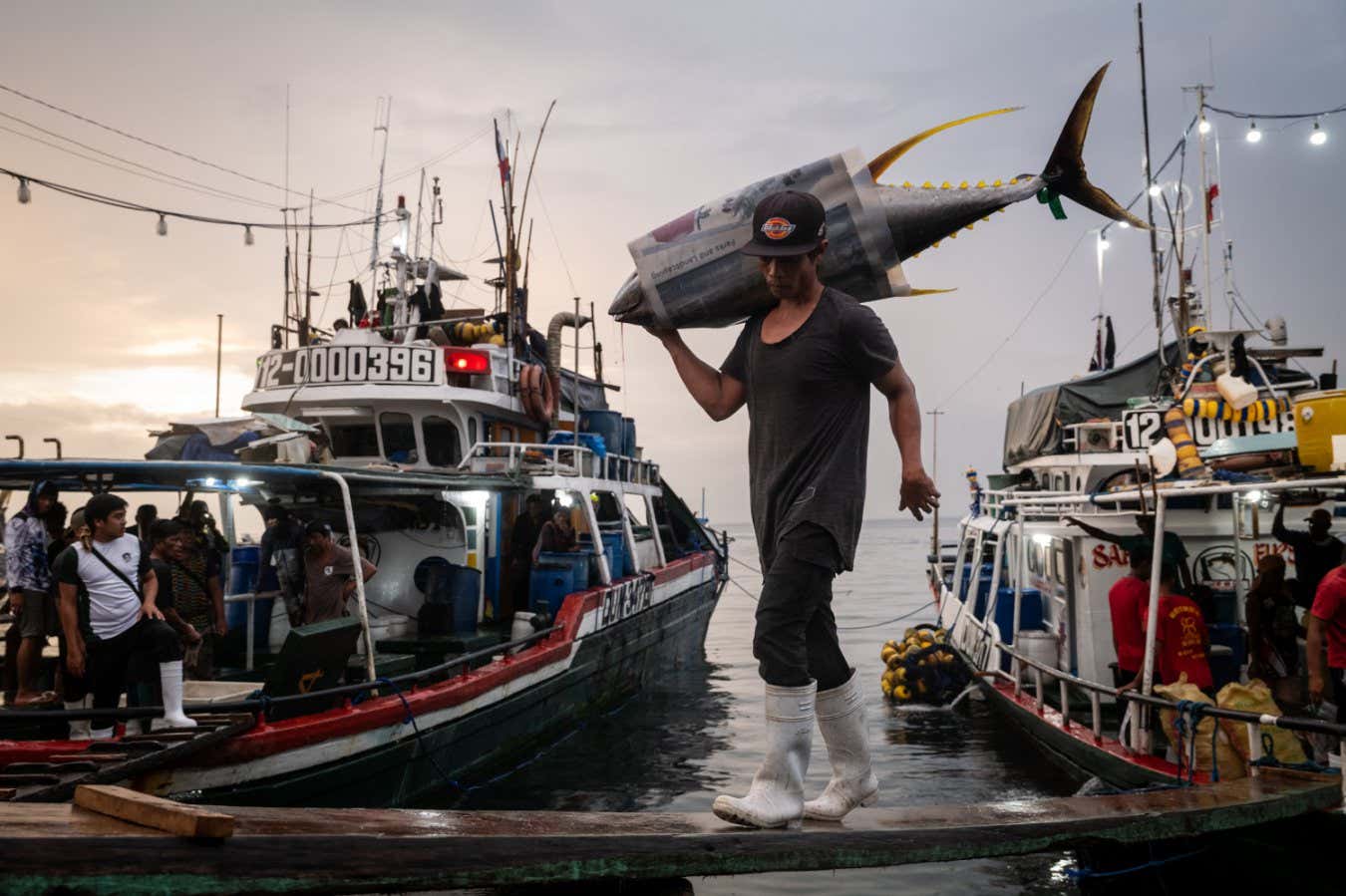 Filipino fishermen unload catches of Yellowfin tuna, Bigeye tuna, and Blue Marlin, after being at sea for approximately one month, at General Santos fish port, the Philippines, on Wednesday, May 21, 2025. General Santos is known as the Philippines? tuna capital and hub for tuna fishing and exports of the products. The city hosts numerous processing facilities where the fish, primarily tuna, is packaged or canned for sale to the Filipino market and for export worldwide.