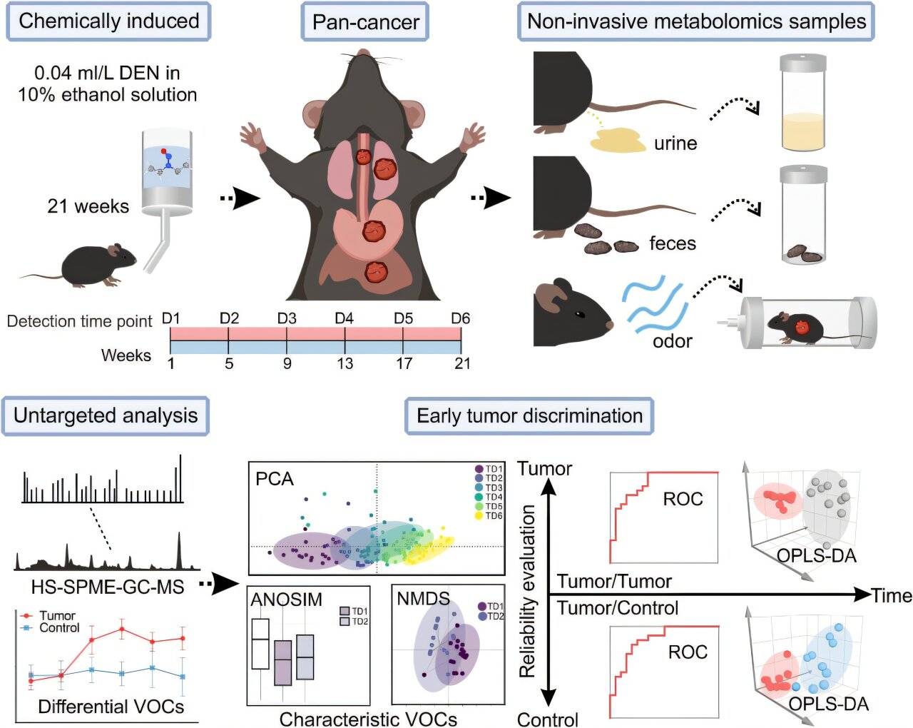 Kanser koklamak: uçucu organik bileşikler erken çok kanser tespiti için umut vaat ediyor