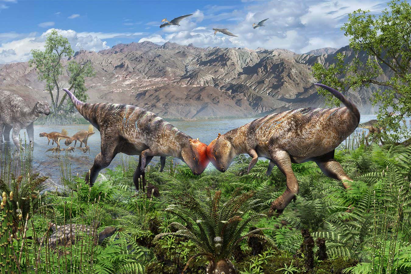 Moğolistan'dan kubbe başlı dinozor şimdiye kadar bulunan en eski dinozor
