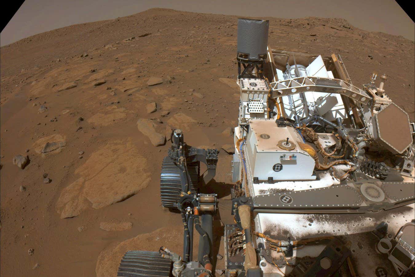 NASA henüz Mars'ta hayat bulamadı - ancak işaretler umut verici