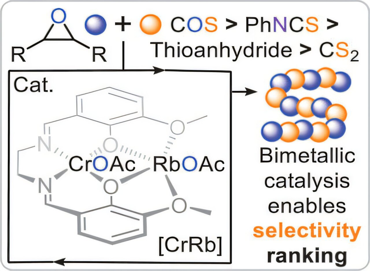 Öngörücü kural, hangi kükürt bazlı yapı taşlarının sürdürülebilir, bozunabilen plastikler yarattığını ortaya koymaktadır