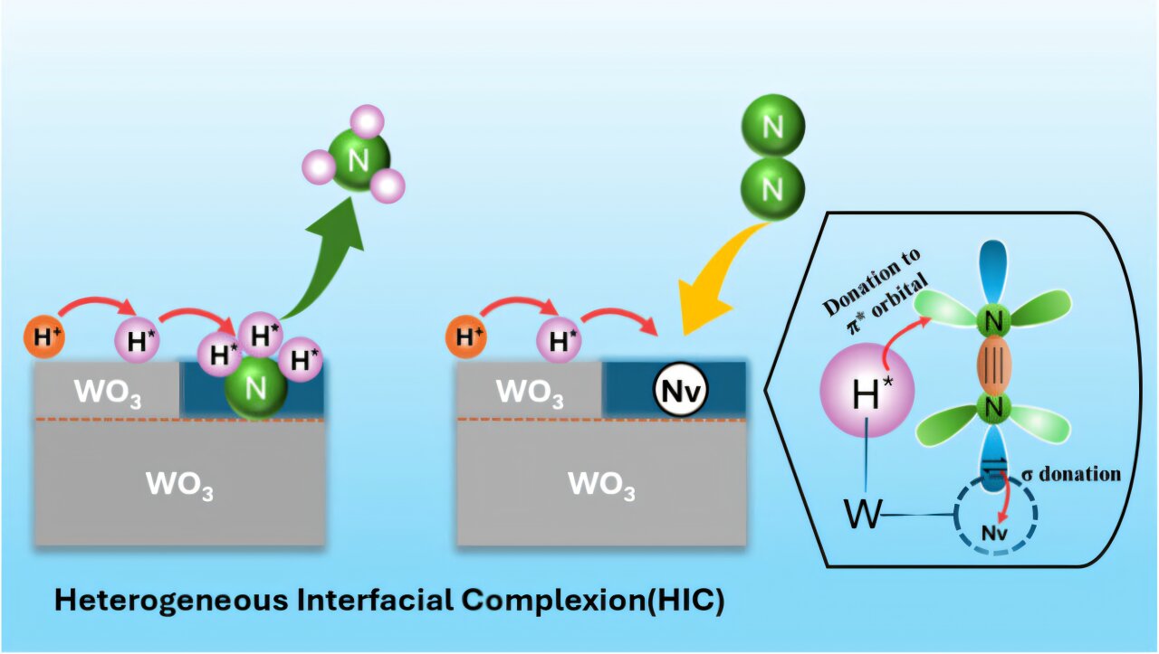 Plazma destekli katalizör, enerji depolama için daha verimli amonyak sentezi sağlar