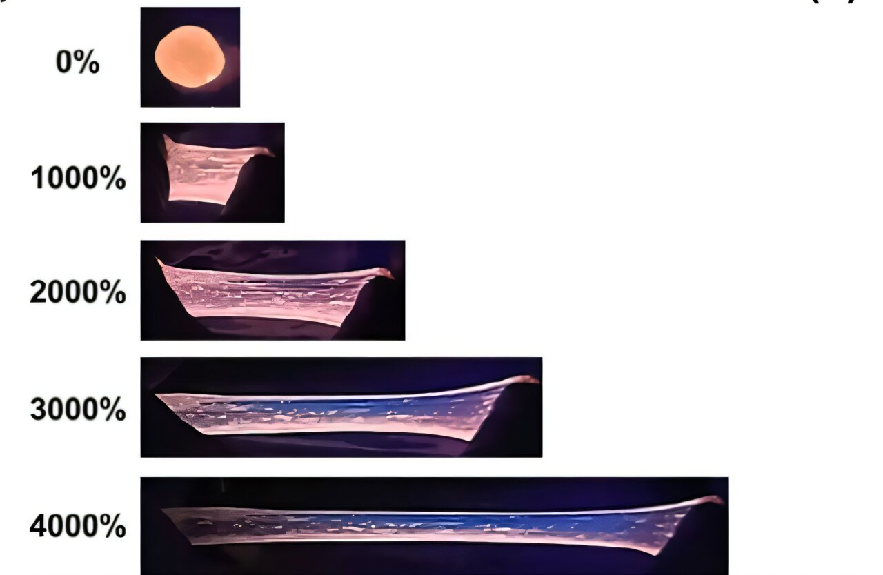 Renk değiştiren organogel, boyutunun ve kendi kendini iyileştirmelerinin 46 katı uzanır