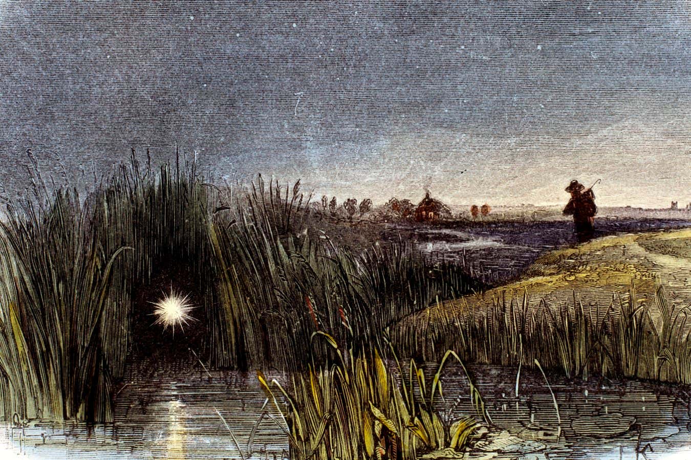 Sonunda Will-O'-the-wisps'in nedeni olduğunu bilebiliriz