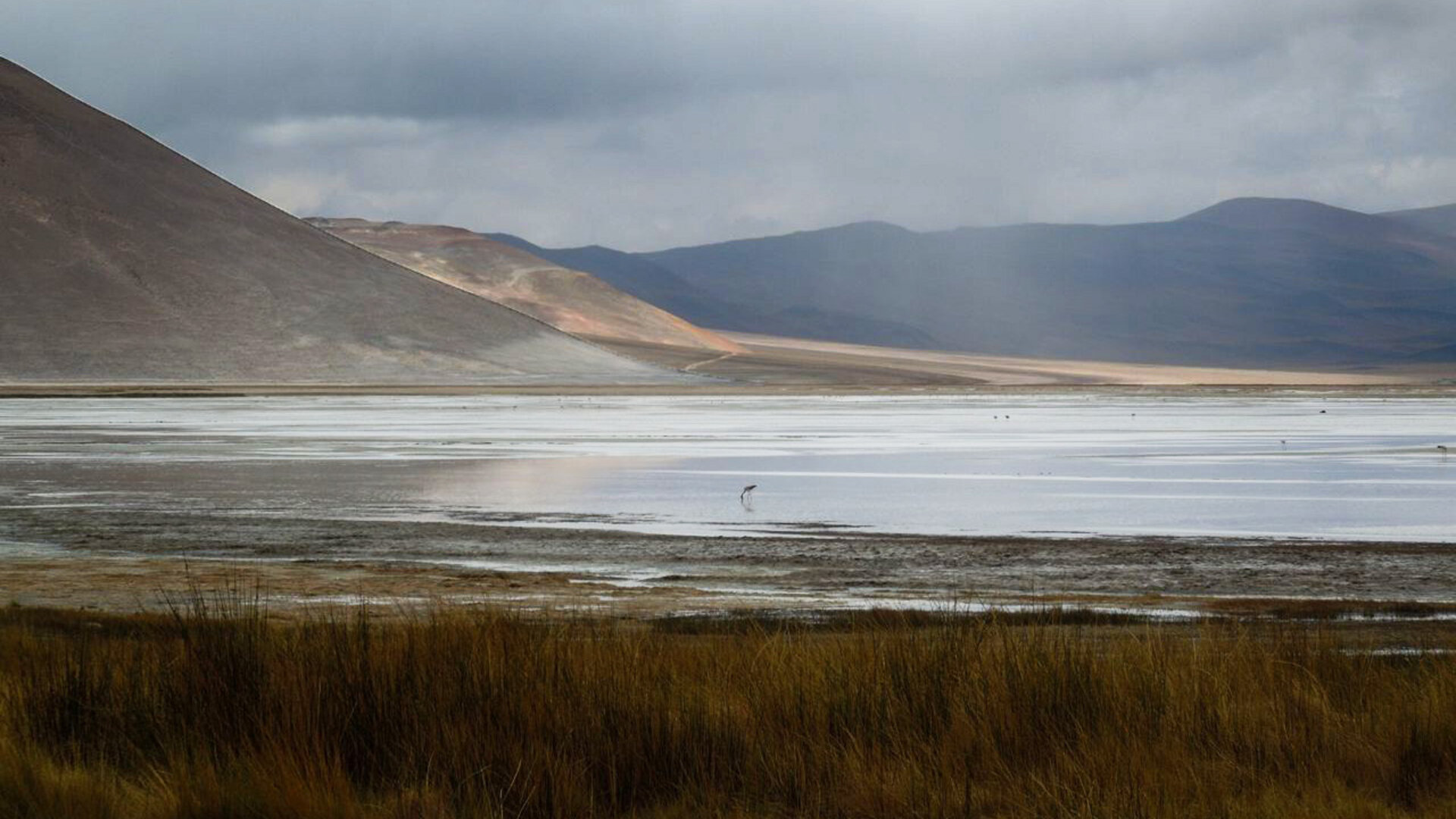 Suyun yoğunluğu, sürdürülebilir lityum madenciliğinin anahtarıdır, çalışma