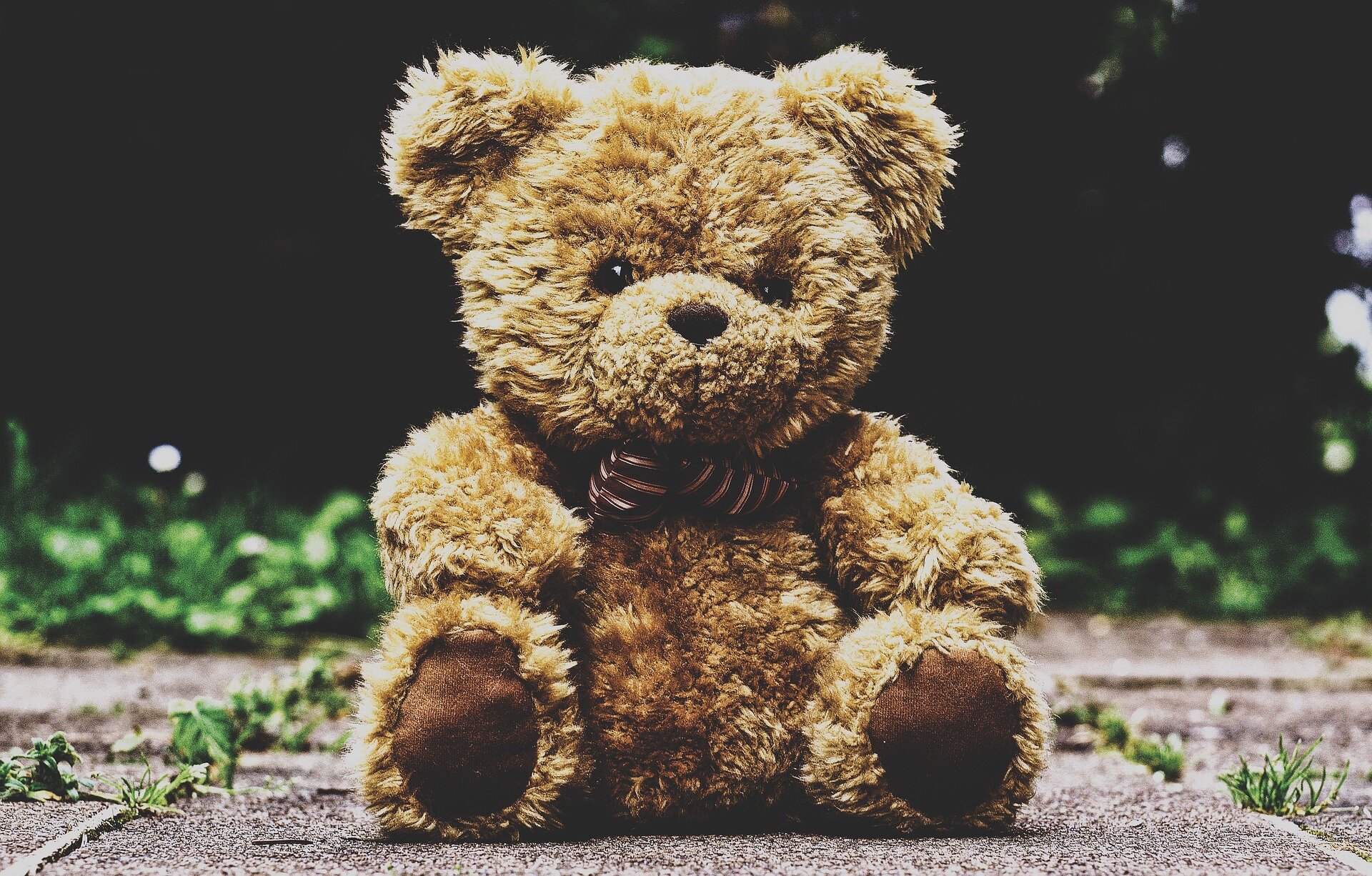 Teddy Bears değerli koruma araçları olabilir - ancak yeni bir görünüme ihtiyaçları var, araştırmacılar