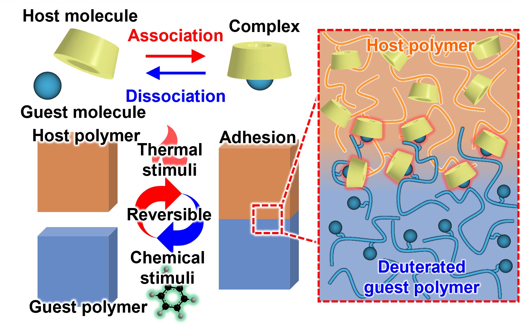 A 'çubuk çırpma' Kilit ve anahtar kimyasına dayalı yapıştırıcı