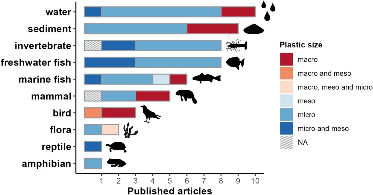 Amazon'daki plastik kirliliğin ilk kapsamlı incelemesi, kontaminasyonun acil sağlık risklerini ortaya koyduğunu ortaya koyuyor