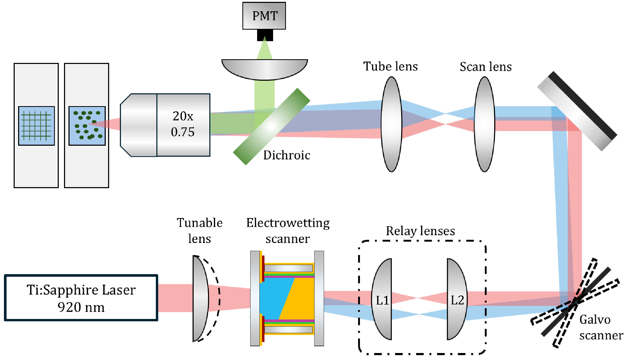 Araştırmacılar beyin görüntüleme için sıvı bazlı lazer taramaya öncülük ediyor