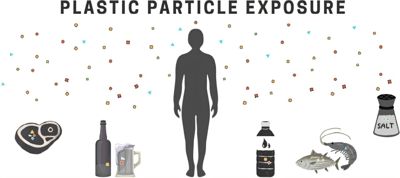 Araştırmacılar, deniz ürünlerinin mikroplastik tartışmalarında haksız yere öne çıkarıldığını söylüyor