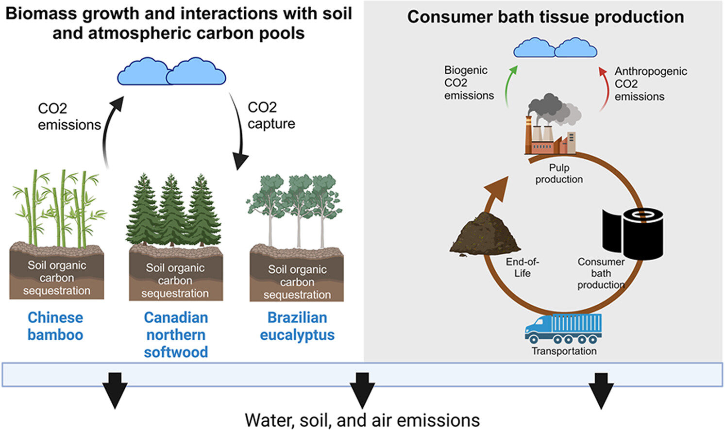 Bambu kağıt mendil sandığınız kadar çevre dostu olmayabilir