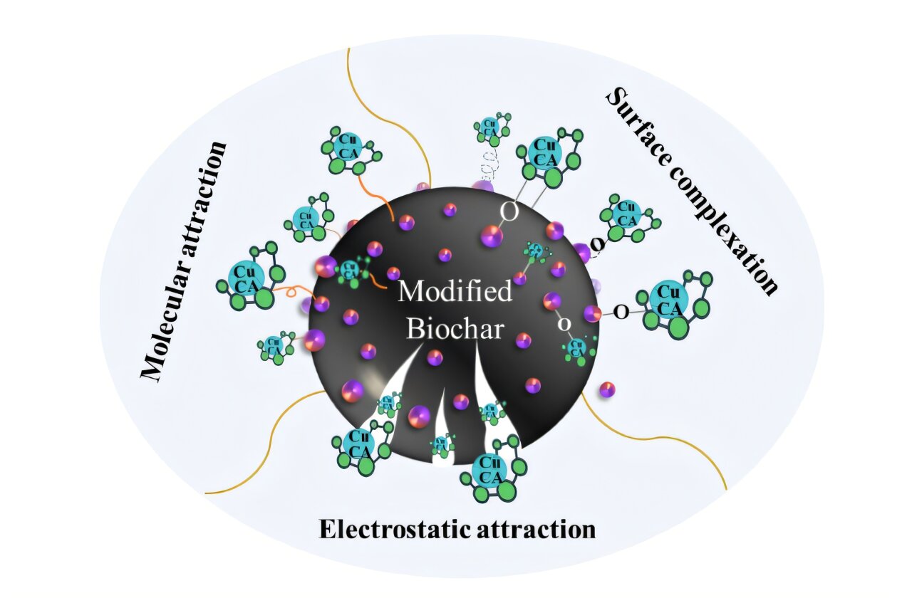 Biochar malzemesi sudaki inatçı metal kirleticileri yakalar