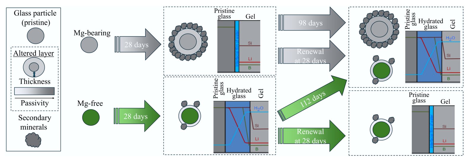 Bor izotopları nükleer atık camın zamanla nasıl yavaş yavaş çözüldüğünü ortaya koyuyor