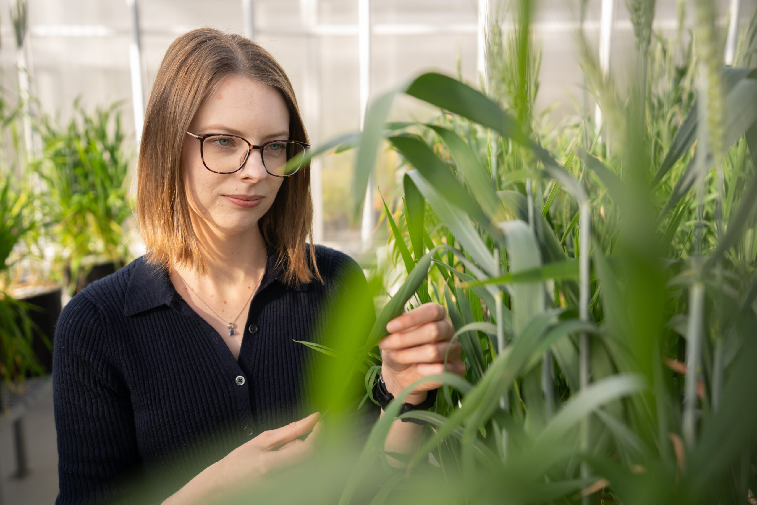 Doğa, kritik kaynaklardaki trilyonlarca doların kurtarılmasına yardımcı olmaları için araştırmacılara ilham veriyor