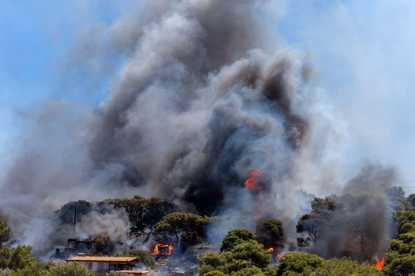 Dünya atmosferindeki CO2 seviyeleri 2024'te rekor miktarda arttı