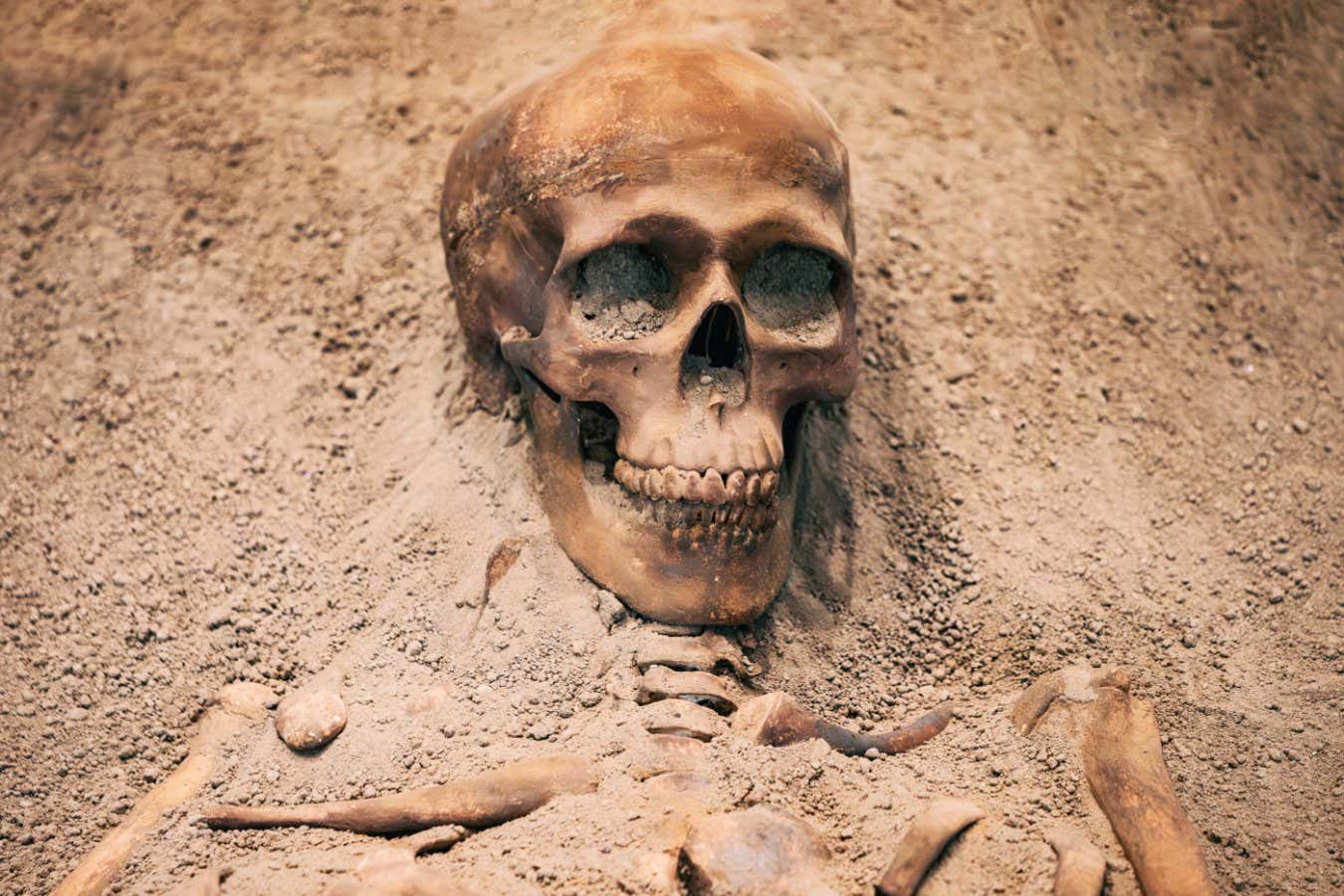 Eski kurşun maruziyeti beynimizin evrimini etkilemiş olabilir