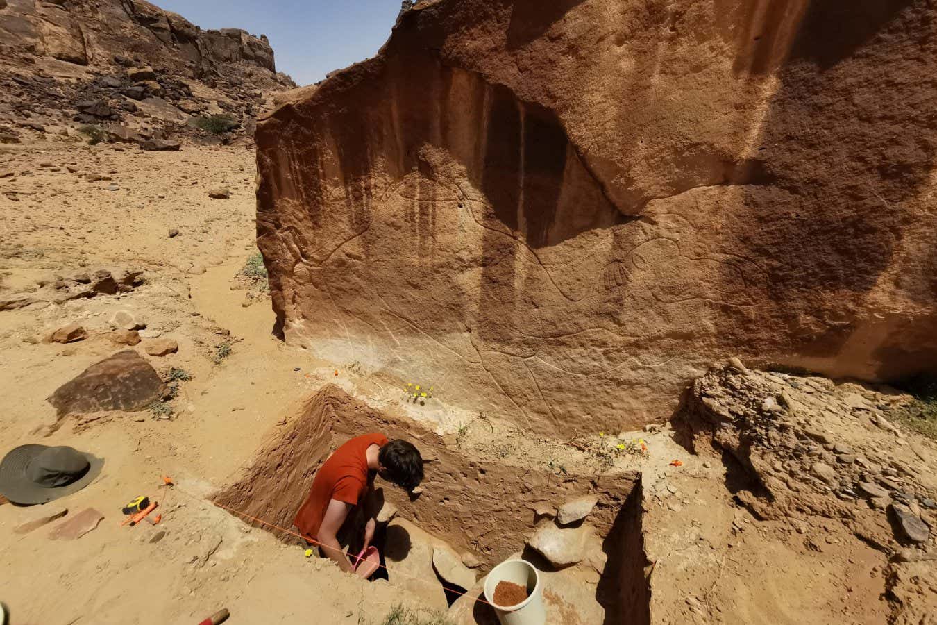 Eski sanatçılar Arap çölünde dev deve gravürleri yarattı