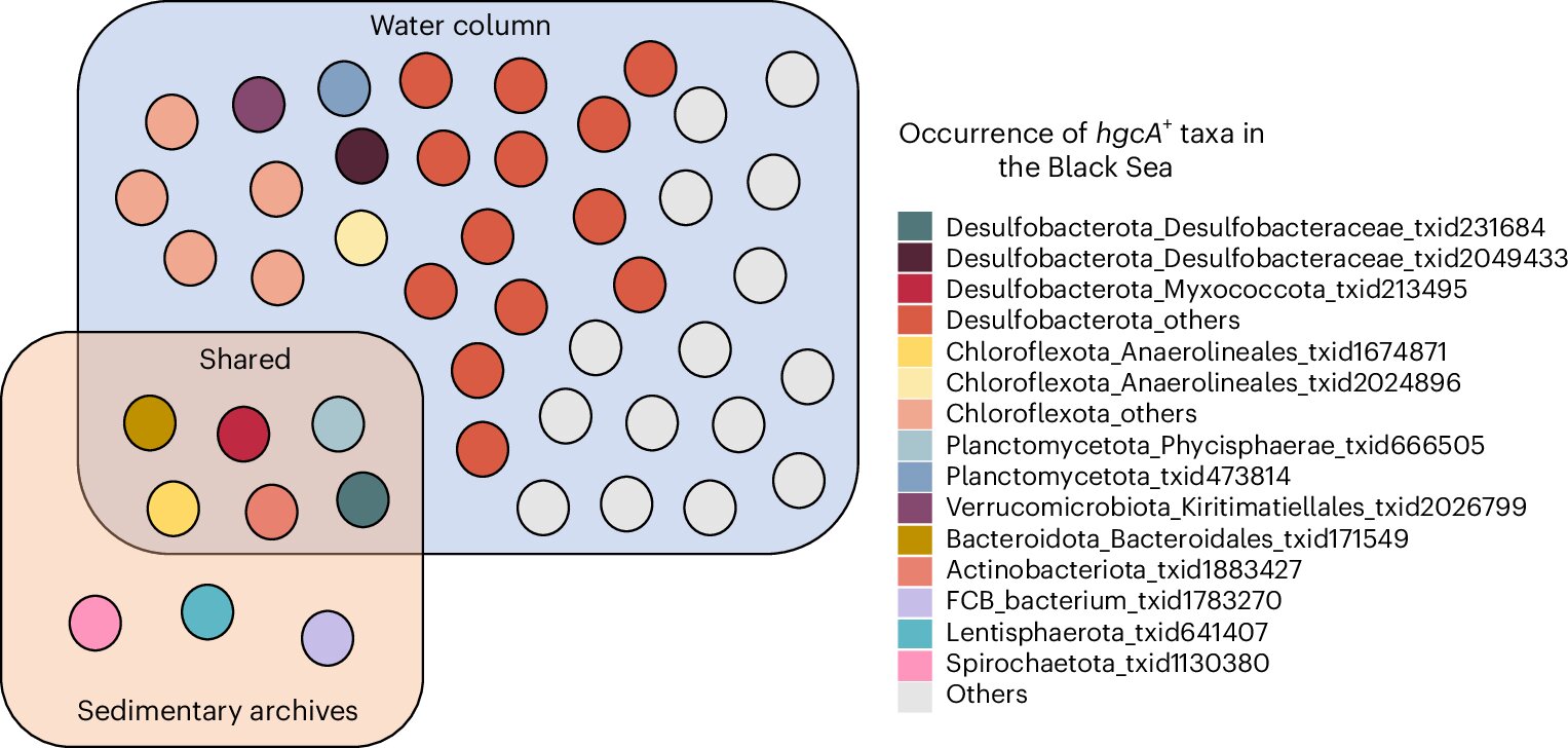 İklim değişikliği okyanuslarda nörotoksinin yayılmasını artırabilir