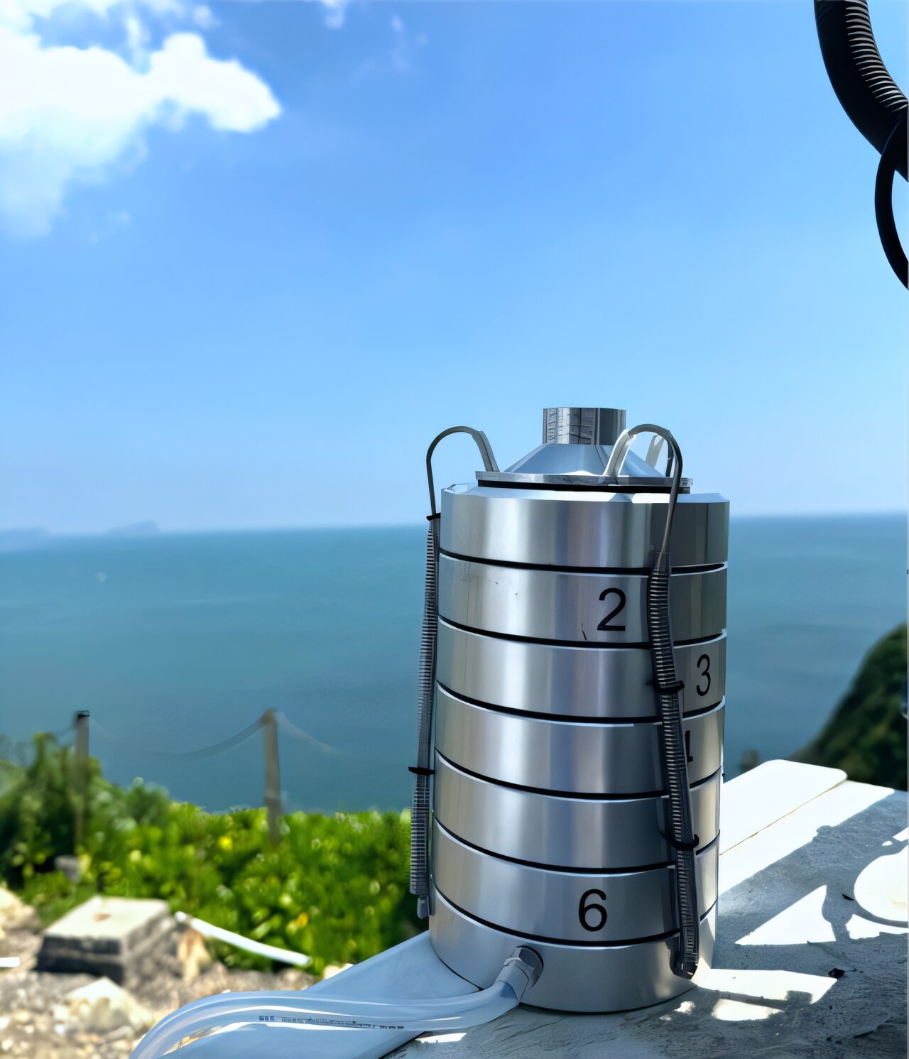 Kentsel havada bulunan ancak kıyı boyunca bulunan patojenik maya suşları