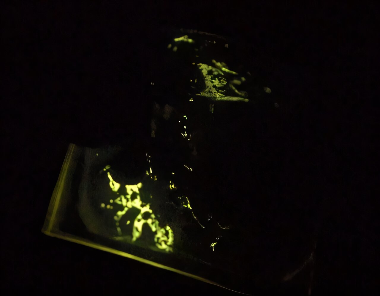 Kristalsiz mekanolüminesans, yeni nesil malzemeler için yeni olasılıkları aydınlatıyor