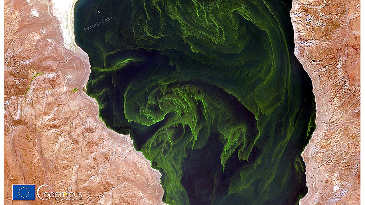 Küresel iklim modelleri nitrojen döngüsüne ihtiyaç duyuyor; hepsi