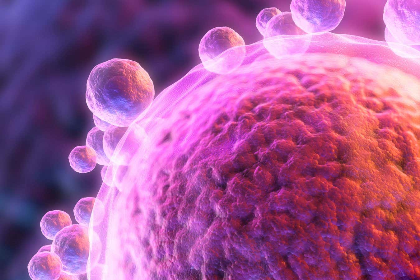 Laboratuarda döllenmiş insan derisinden DNA ile yapılan yumurta hücreleri