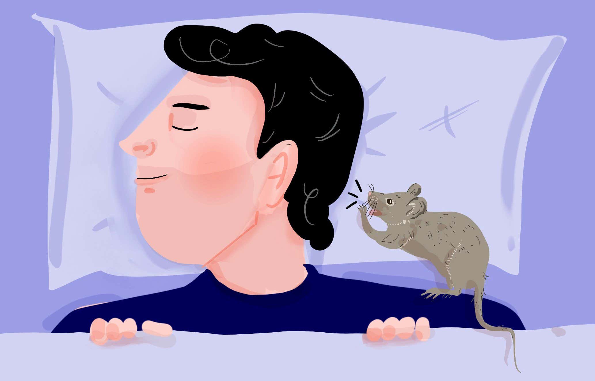 Mütevazi ev faresi bize ne anlatmaya çalışıyor olabilir?