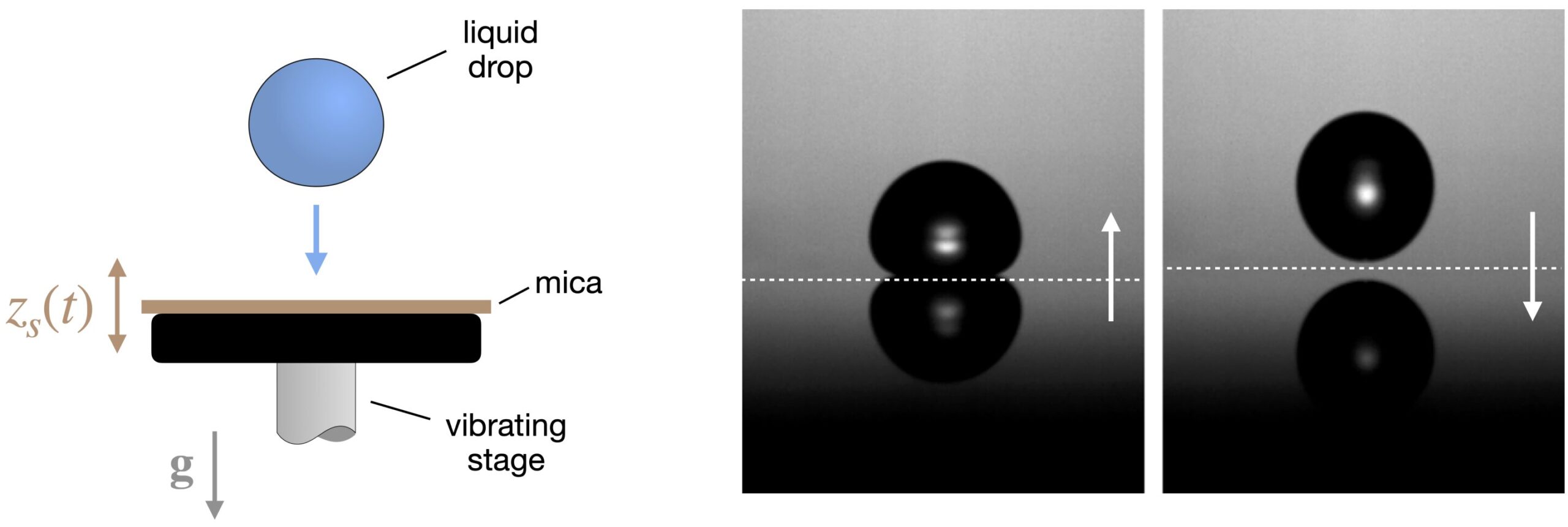 Patlamadan dakikalarca sıçrayan küçük damlacıklar bunu süresiz olarak yapabilir
