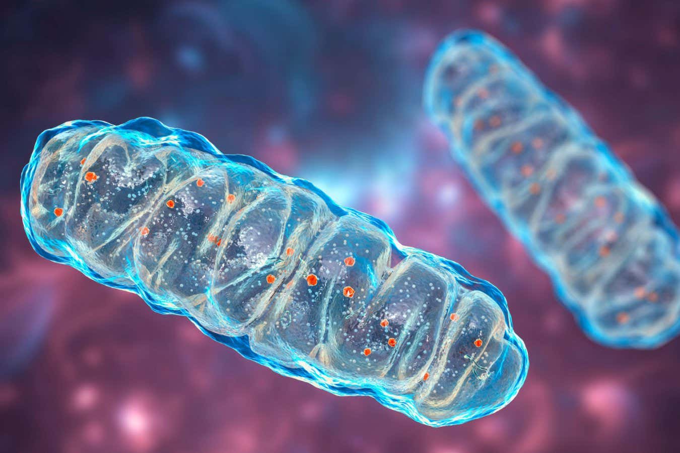 Son derece reaktif oksijenin gizemi nihayet çözüldü