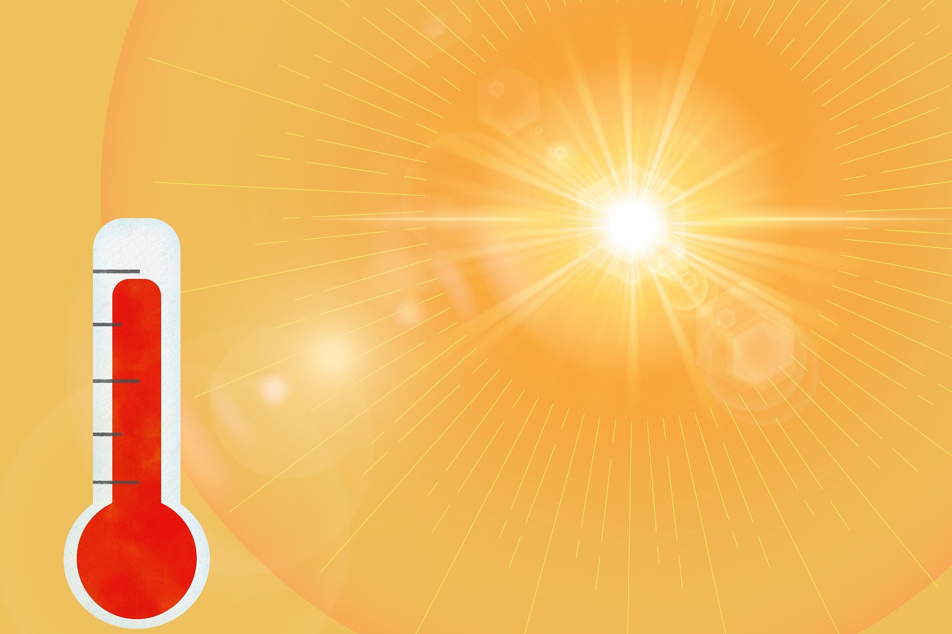 Tahmin sistemi, sıcak hava dalgalarındaki ölümlerin öngörülebilir olduğunu gösteriyor