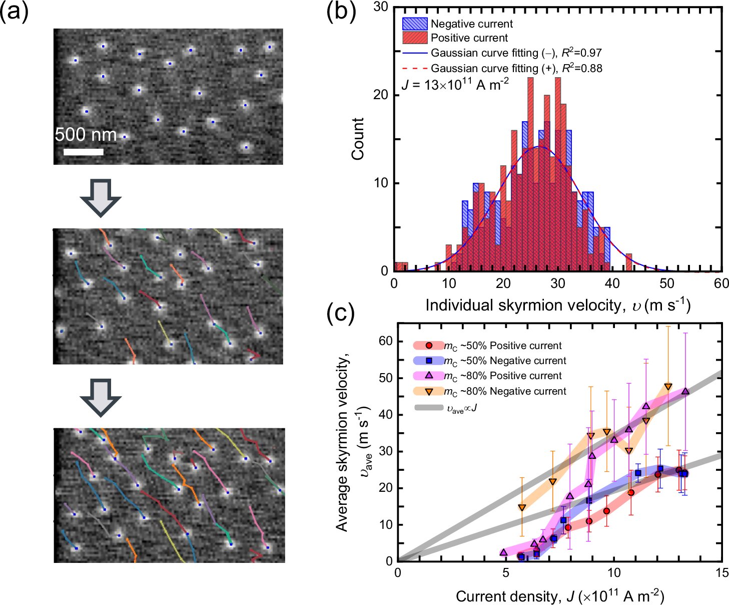 Veri depolamanın üçüncü boyutu: Fizikçiler, daha yüksek yoğunluklu kuantum bilgi işlem için ilk hibrit skyrmion tüplerini gösterir