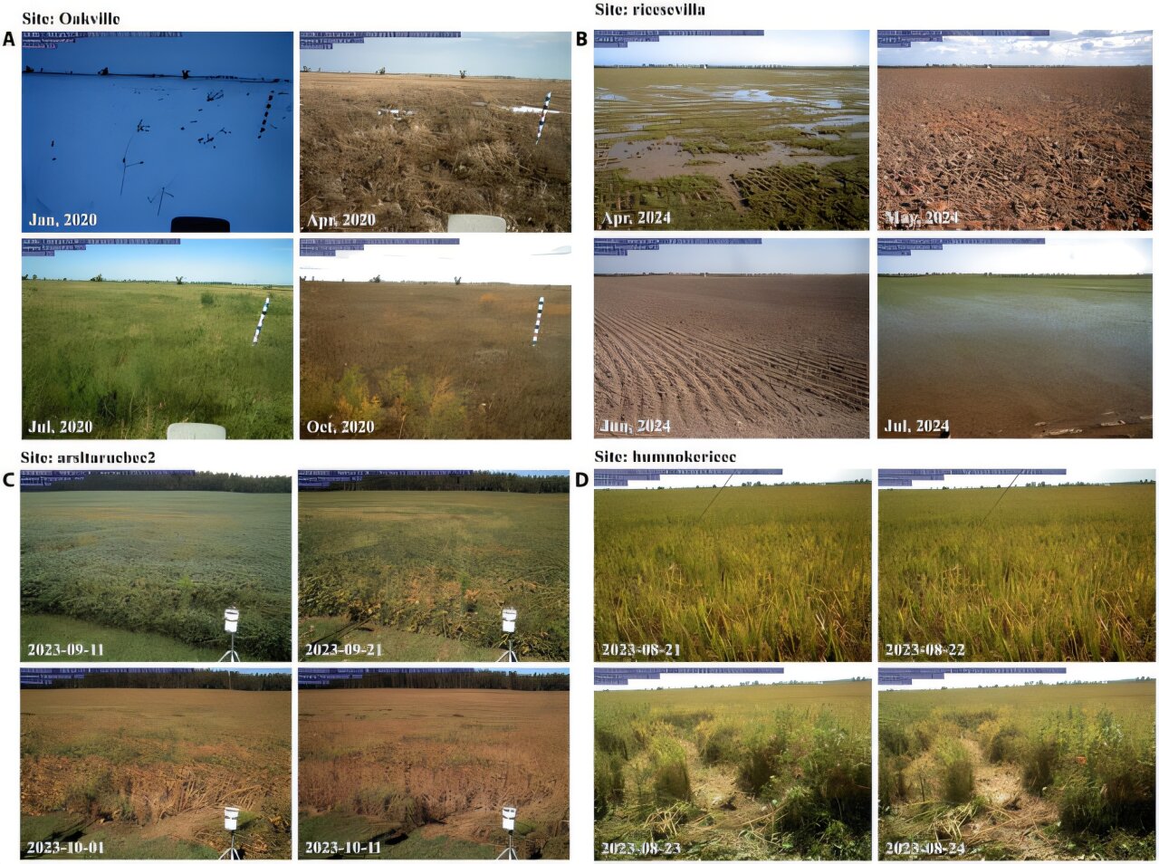 Yapay zeka destekli haritalama, günlük küresel arazi değişikliklerini yakalar