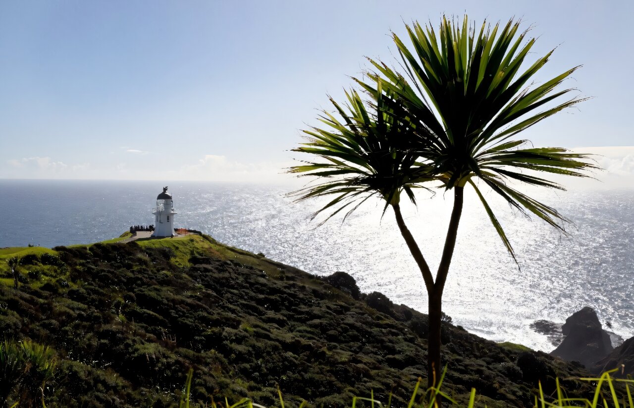 Yeni Zelanda'nın denizleri küresel ortalamadan daha hızlı ısınıyor: rapor