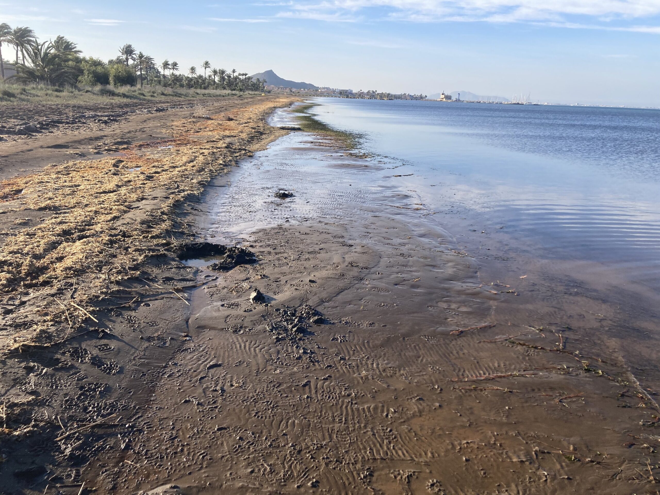 Yüzyıllardır süren madencilik, tuzlu su lagününü zehirli metal rezervuarına dönüştürüyor