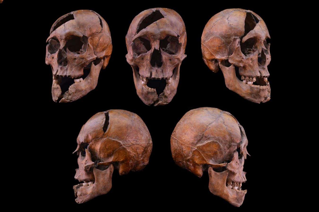 1272'de suikasta uğrayan dük olduğu tespit edilen, acımasızca yaralanmış iskelet