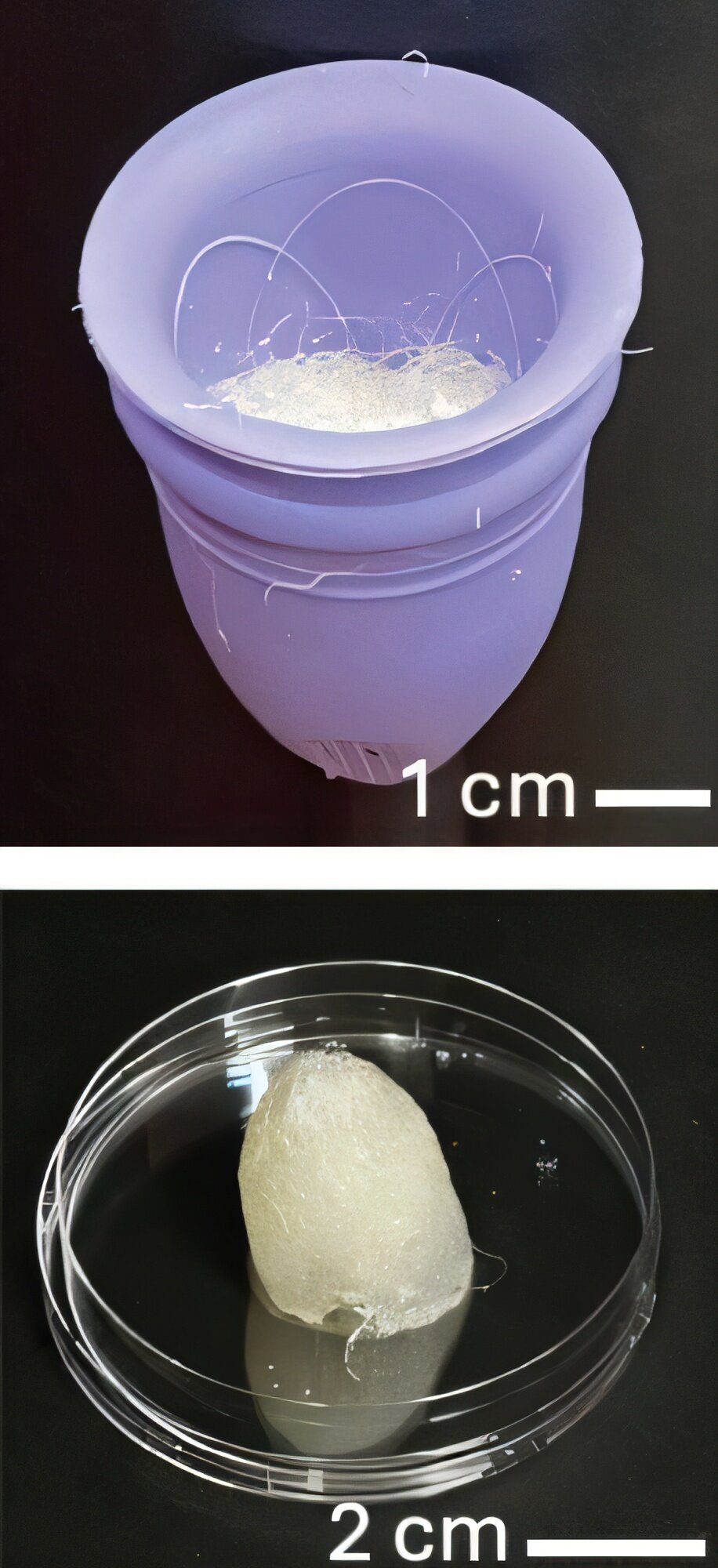 Adet kabı yükseltmeleri: Kendi kendini temizleyen ve sürdürülebilir tasarım ayarlamaları bunların kullanımını daha kolay hale getirebilir