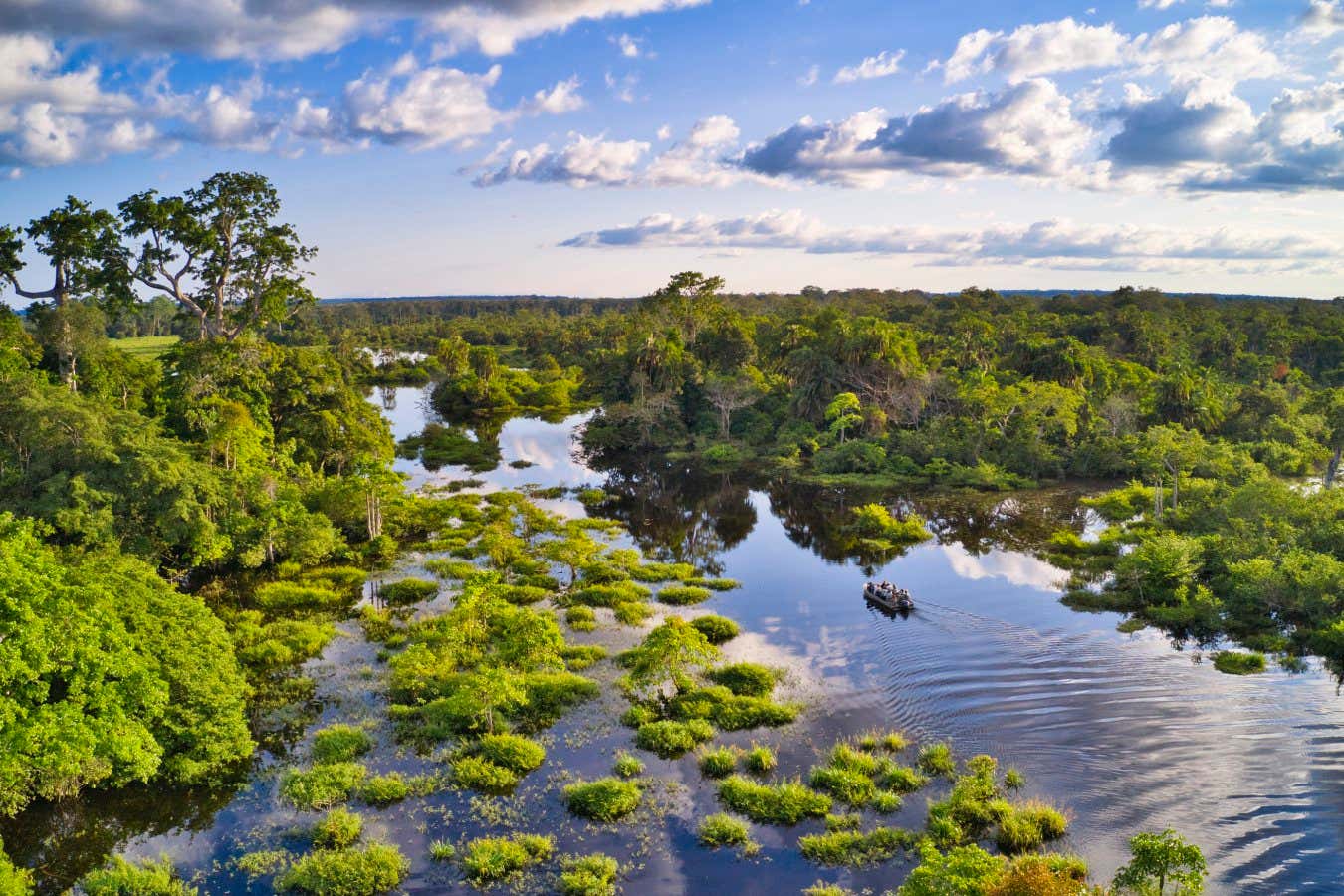 Afrika ormanları artık emdiklerinden daha fazla CO2 yayıyor