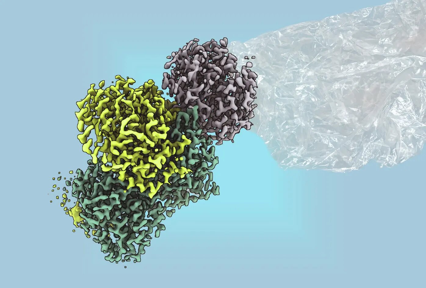 Bakteriyel enzim yapısı yenilenebilir plastik için yeni yolu ortaya koyuyor