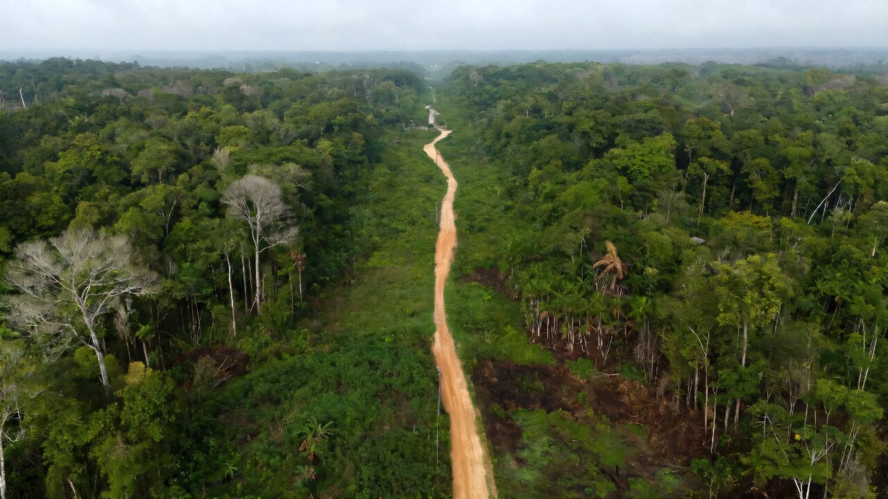Brezilya, emisyonlarda son 15 yılın en büyük yıllık düşüşünü kaydetti: Rapor